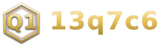 13q7c6 logo